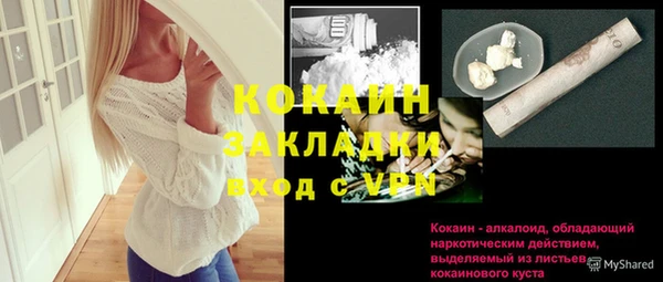 твердый Няндома