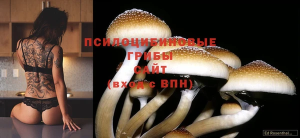 твердый Няндома