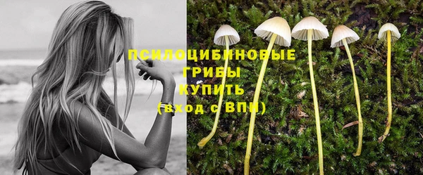 прущий лед Нязепетровск